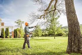 Best Utility Line Clearance  in Simpsonville, KY
