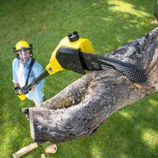 Best Tree and Shrub Care  in Simpsonville, KY