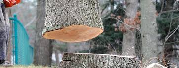 Best Emergency Tree Removal  in Simpsonville, KY