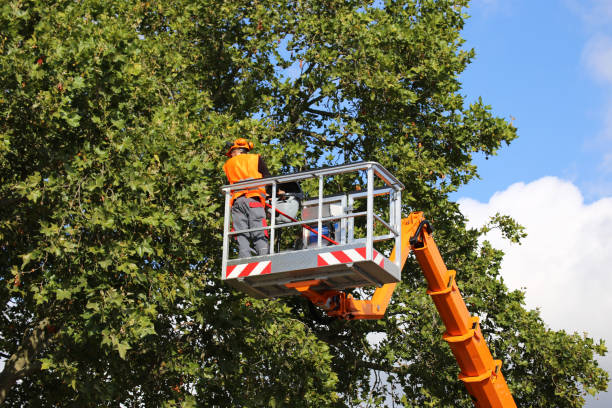 Best Weed Control  in Simpsonville, KY