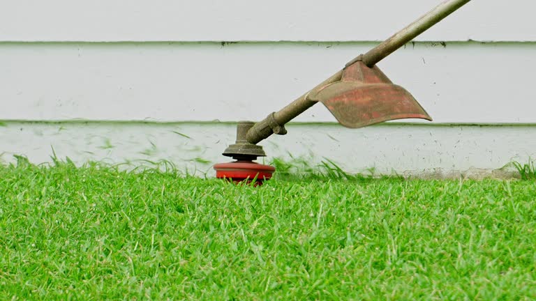 Lawn Drainage Solutions in Simpsonville, KY