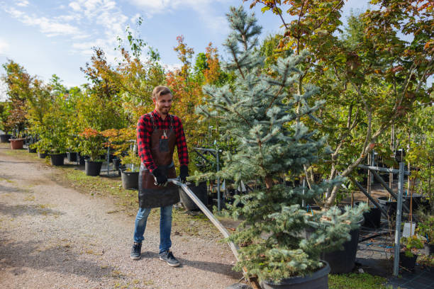 Mulching Services in Simpsonville, KY