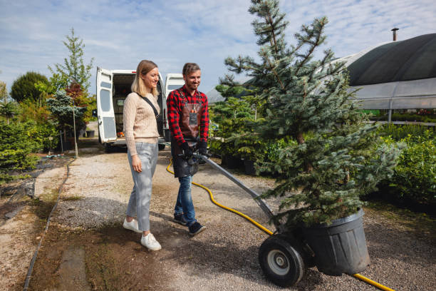 Organic Lawn Care Solutions in Simpsonville, KY