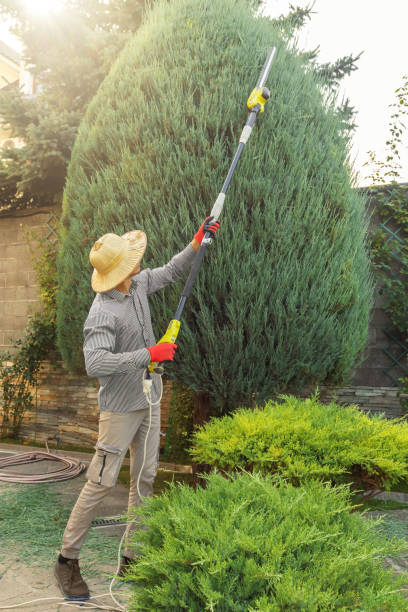 Best Lawn Pest Prevention  in Simpsonville, KY